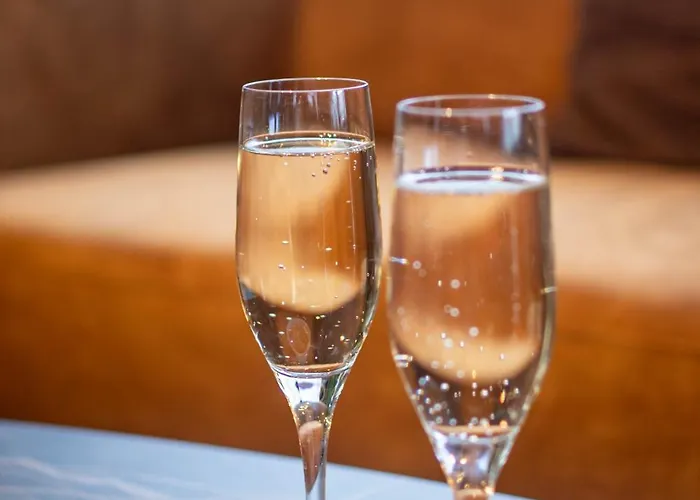 Ambassador 3* De Panne